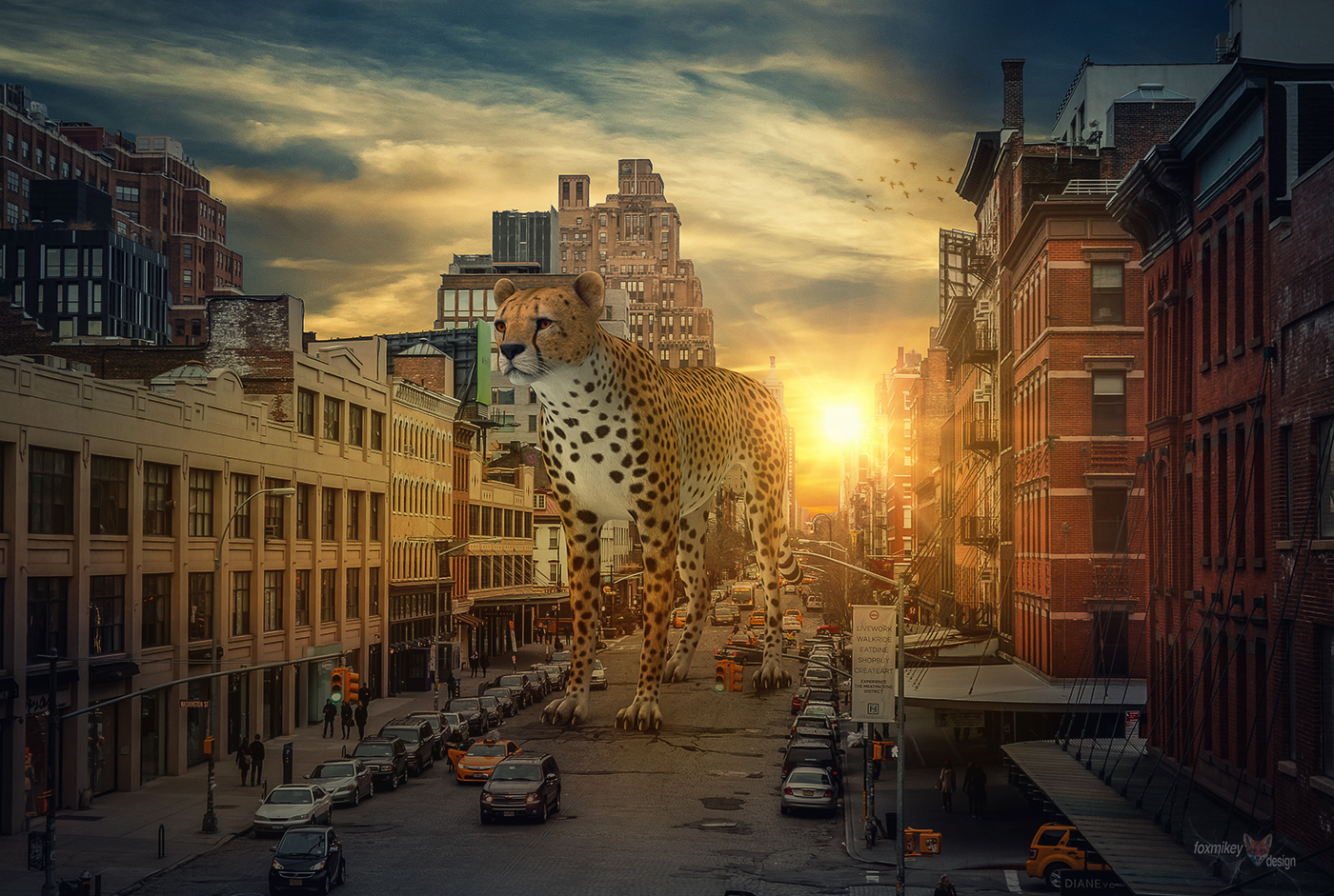 Gepard_City_1_small