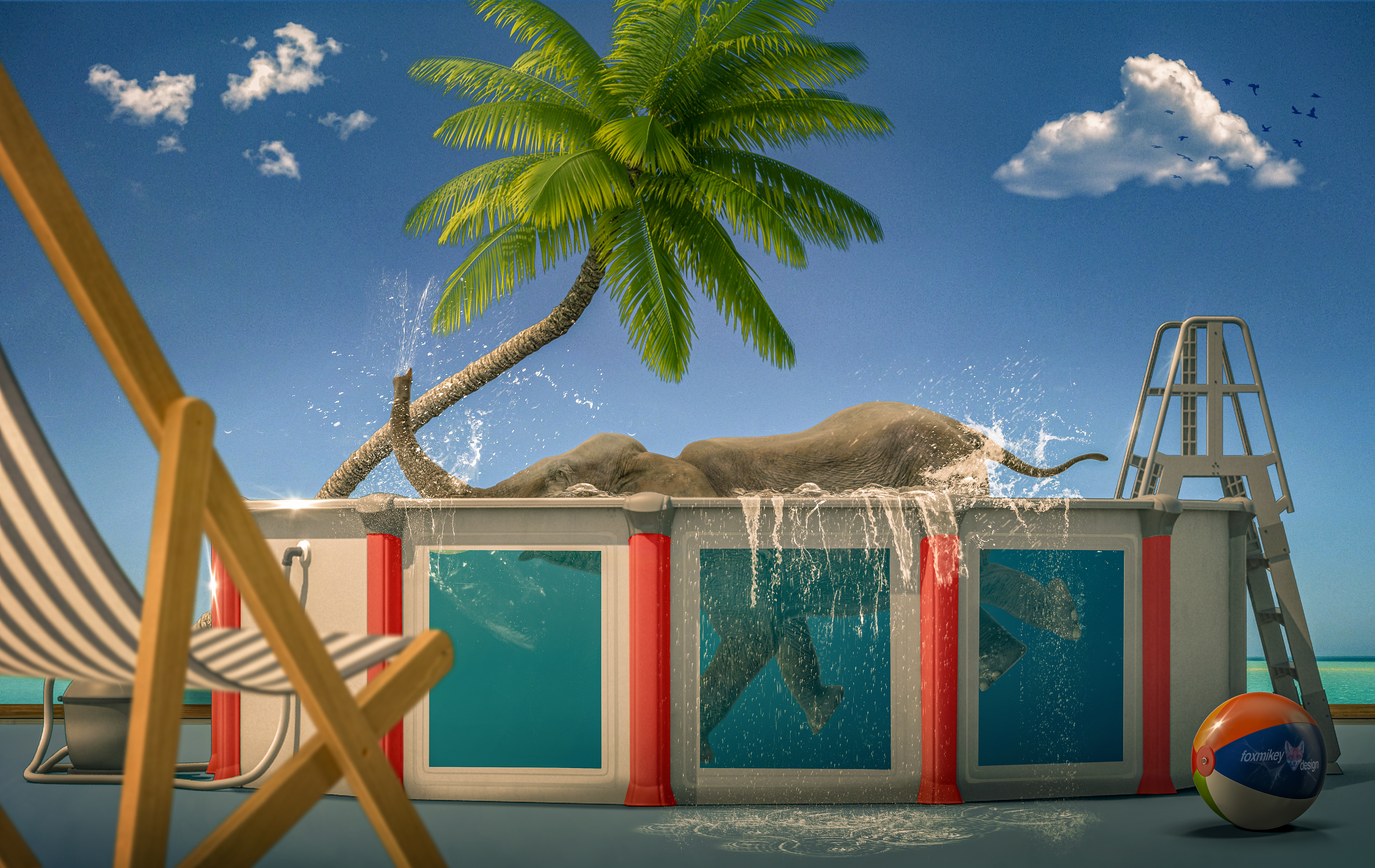 elephant_pool-1